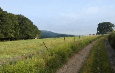 CHARLEVAL - FORET DE LYONS-eure