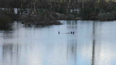 LES ETANGS DE POSES-eure