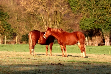 LA CHAPELLE-GAUTHIER -eure