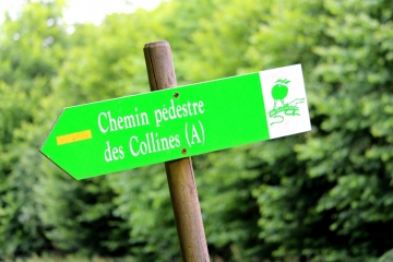 CORMEILLES - BOIS DES CRIQUETS-eure