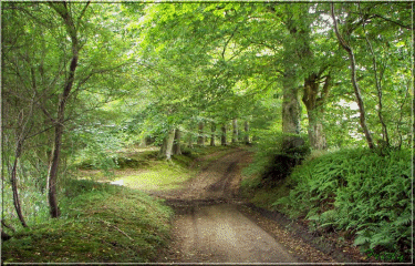 Saint Aubin du Thenney-eure