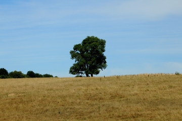 SAINTE-OPPORTUNE-DU-BOSC - CHATEAU DU CHAMP DE BATAILLE-eure