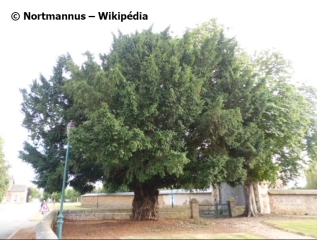 SAINT-AUBIN-LE-GUICHARD - CIRCUIT NATURE & PATRIMOINE-eure