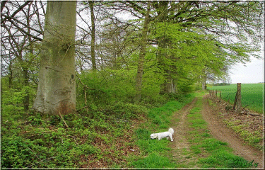 RUGLES PRES DE BERNAY-eure