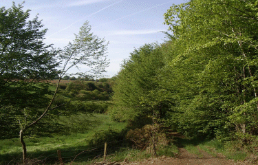 Circuit de la mare Boutard-eure