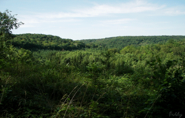 Circuit du chasseur-eure