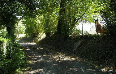 Chemin des lavoirs-eure