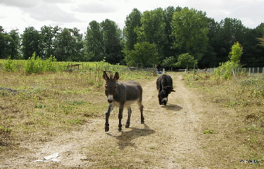Fontaine-Sous-Jouy-eure