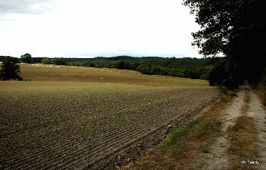 Le champ de bataille-eure