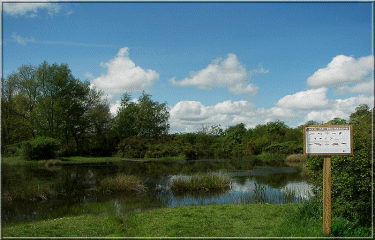 La mare de Saint Lubin-eure