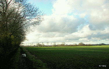 TIBERVILLE - CIRCUIT DES HOUZIAUX-eure