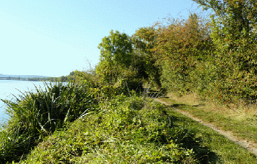 SAINT-ETIENNE-DE-BAILLEUL-eure