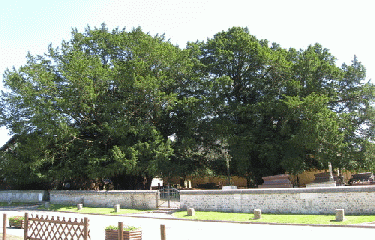 LA HAYE DE ROUTOT-eure