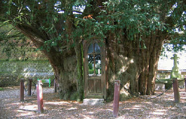 LA HAYE DE ROUTOT-eure