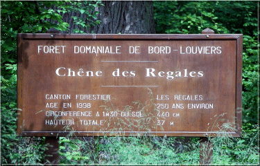 BALADE EN FORET-eure