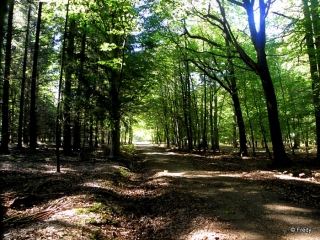 VALLEE DE LA RISLE-eure