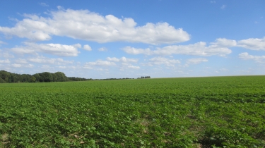 AMFREVILLE-SOUS-LES-MONTS-eure