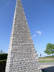 VOVES - BOIS DES SAULES-eure-et-loir