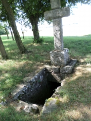 VOVES - BOIS DES SAULES-eure-et-loir