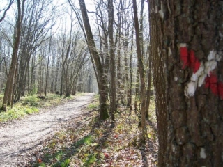 ANET - VALLEE DES ORCHIDEES-eure-et-loir