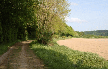 GR22 - PARTIE 2-eure-et-loir