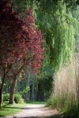 LE LOIR ET LES PLANS D EAU - CLOYES-SUR-LE-LOIR - MONTIGNY-eure-et-loir