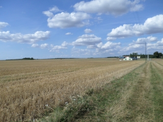 MARBOUE - BOIS DES COUDREAUX-eure-et-loir