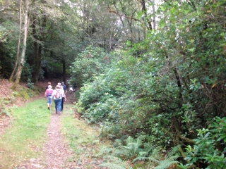 MENEZ BRAZ-finistere