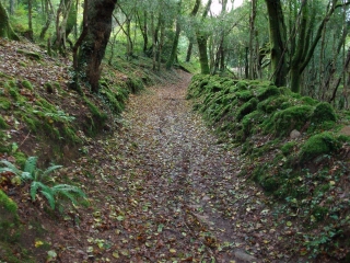 ODET - GR38-finistere