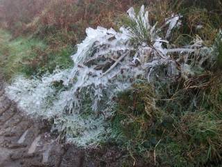 PLOUMEOUR-MENEZ-finistere