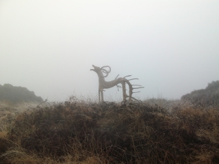 PLOUMEOUR-MENEZ-finistere