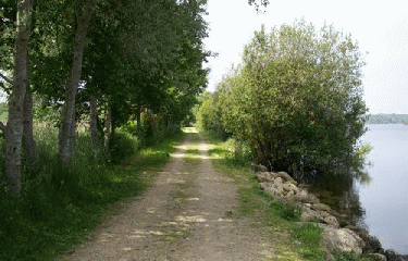 TREMEOC - ETANG DU MOULIN NEUF-finistere