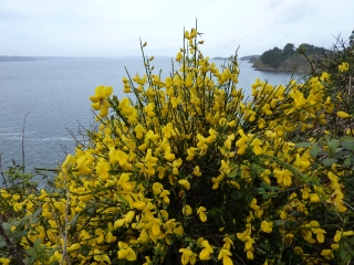 LOGONNA-DAOULAS-finistere
