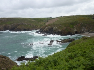 CAP-SIZUN (2)-finistere