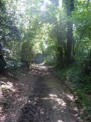 LOCMARIA-BERRIEN-finistere