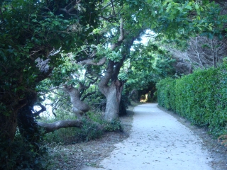 CONCARNEAU - GR34-finistere