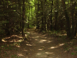 CONCARNEAU - GR34-finistere