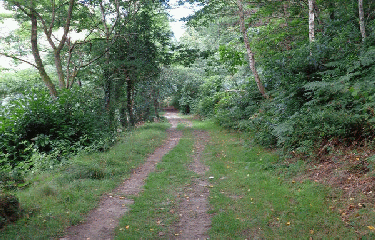 LES VIRE-COURT-finistere