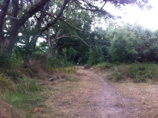 PONT L ABBE-finistere