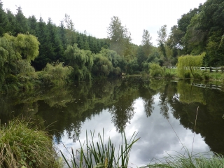 CIRCUIT BOTANIQUE DEPUIS LANRIDEC-finistere