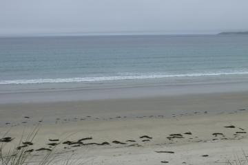 LE MOULIN D EN BAS-finistere