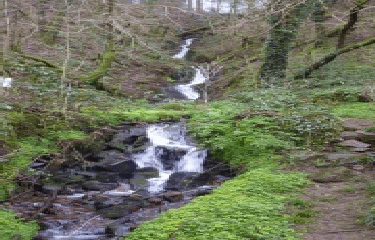 SAINT-ALBIN-finistere