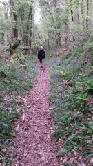 PLOUEZOC(2)-finistere