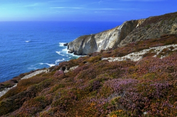 POINTE DE LA CHEVRE - CROZON -finistere