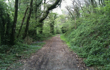 CHATEAUNEUF-DU-FAOU-finistere