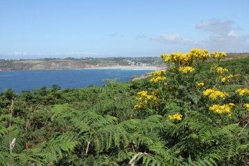KERHERNEAU - POINTE DU RAZ-finistere