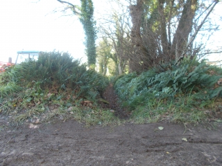 TOUR DE LOCRONAN ET DE LA FORET DU NEVET-finistere