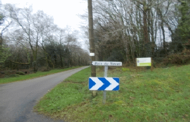 TOUR DE LA FORET DU NEVET-finistere