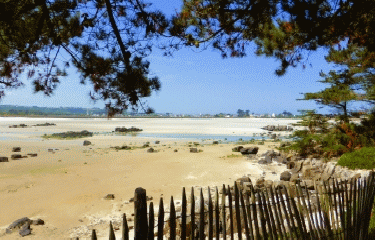 AUTOUR DE GUISSENY-finistere