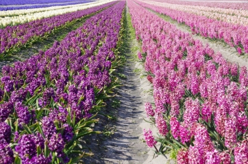 ENTRE TERRE ET MER-finistere